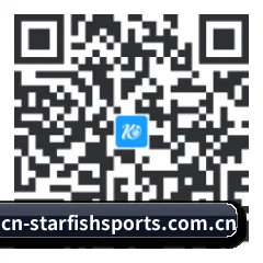 iPad 高清版 二维码